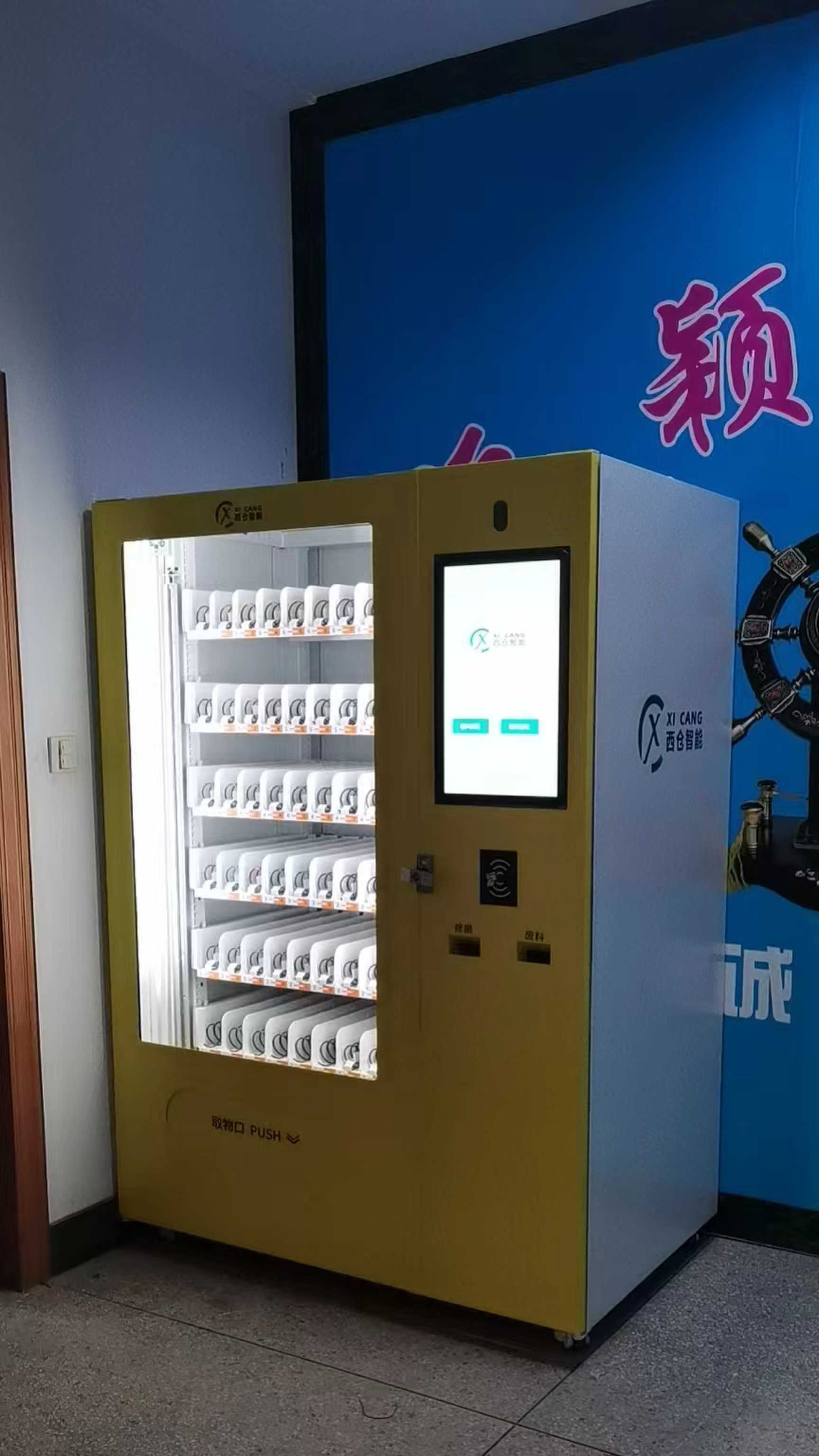 案例展示